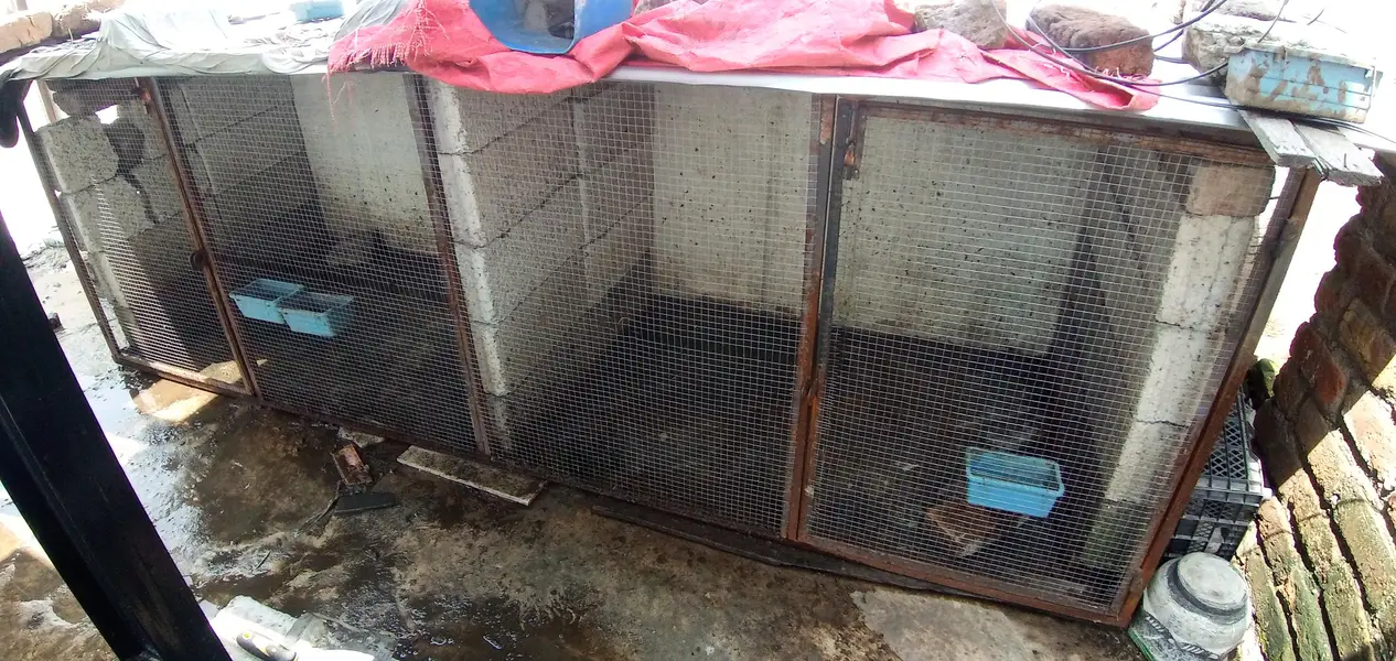 Iron Cage front Side with two Doors For Sale — photo 3