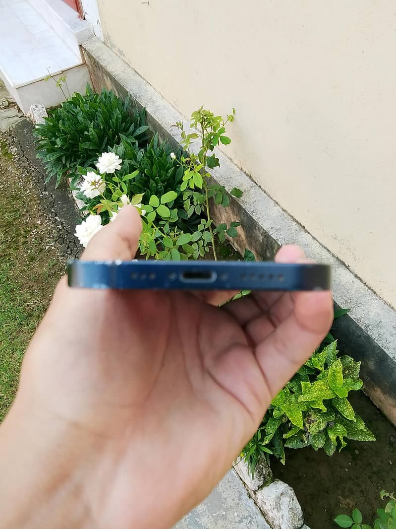 Apple iPhone 12 2