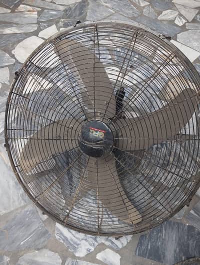 wall fan