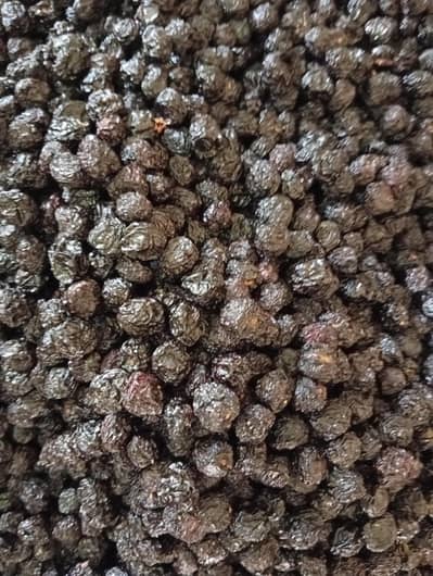 Dry Fruit