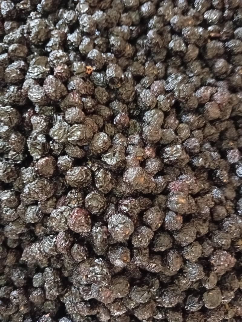 Dry Fruit 1