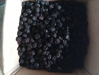 Dry Fruit