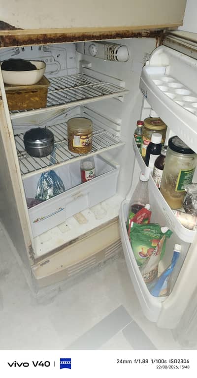 I am selling pel fridge medium size
