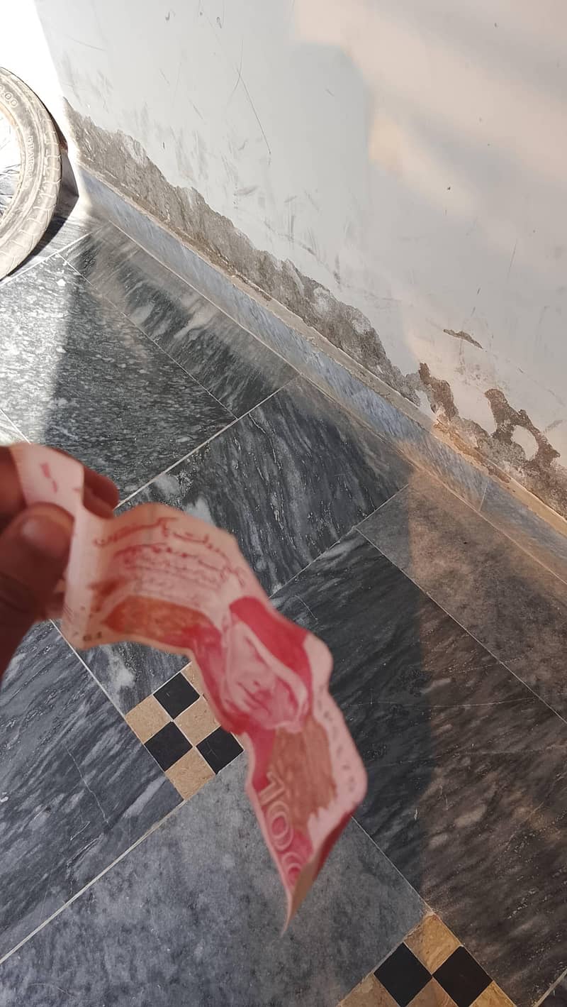 rs100 note 2