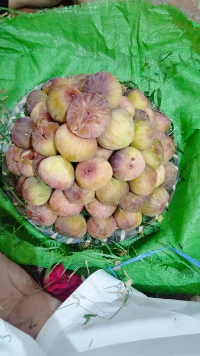 fresh angeer pr kg 500