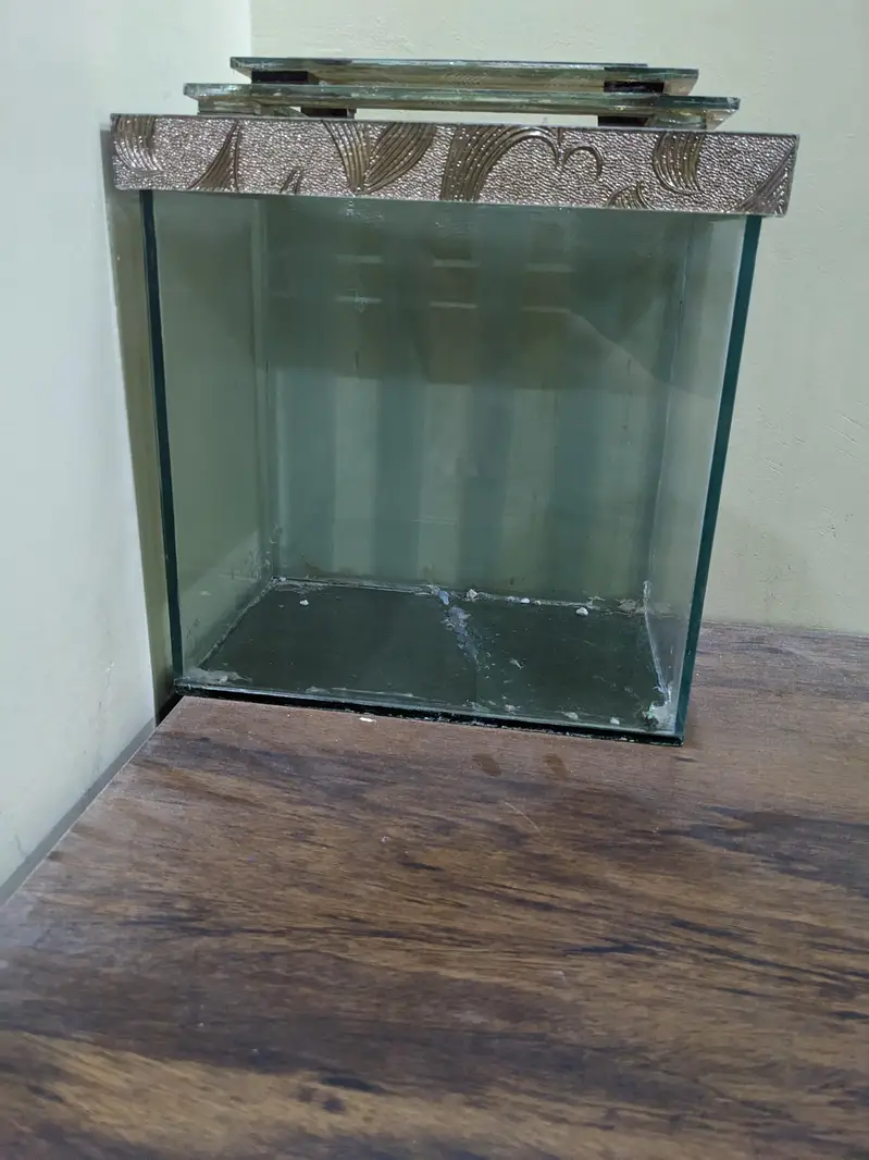 aquarium — photo 2