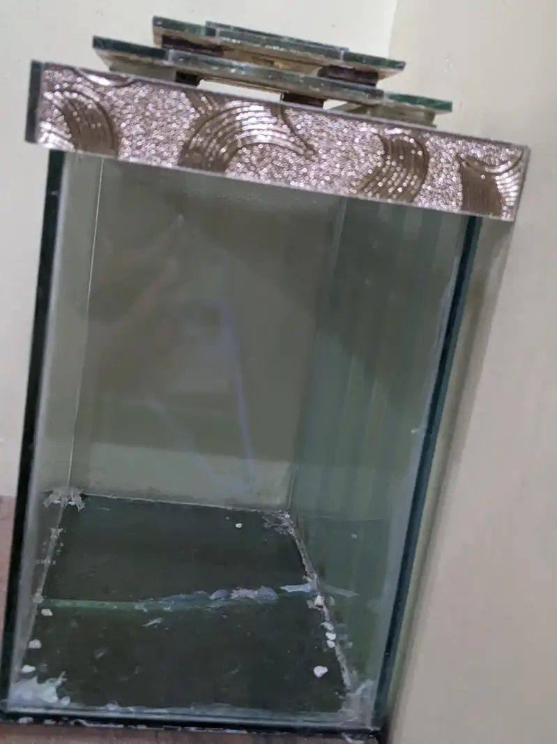 aquarium — photo 3