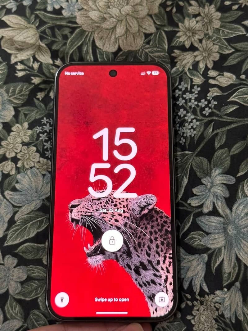 Google Pixel 9 Pro 1