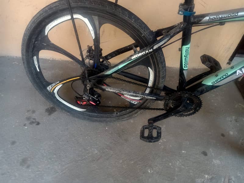 Gari cycle 1