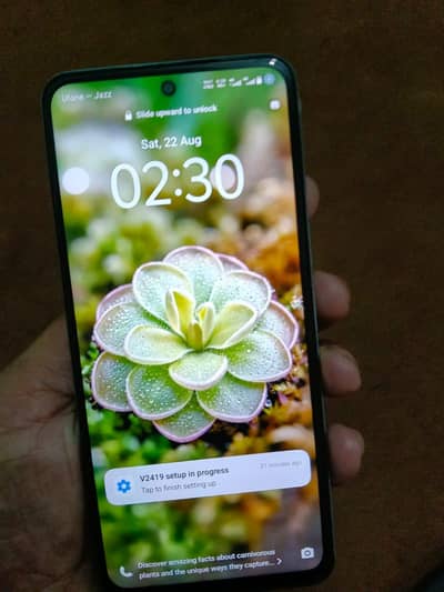 Vivo Y19s
