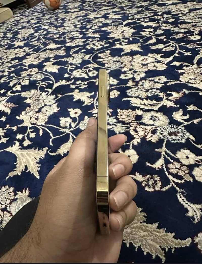 Apple iPhone 13 Pro 4