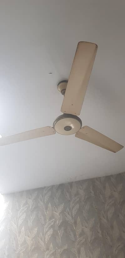 Ceiling fan For sale