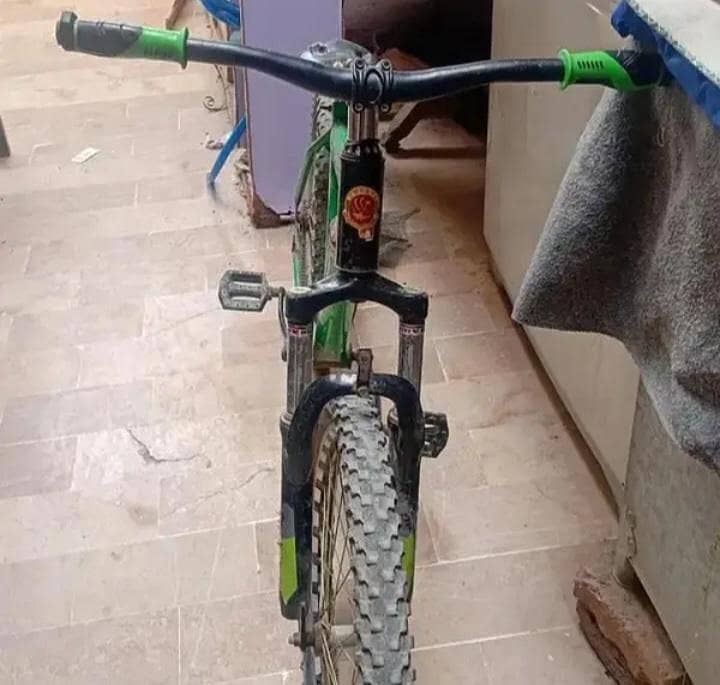Phonex cycle 1