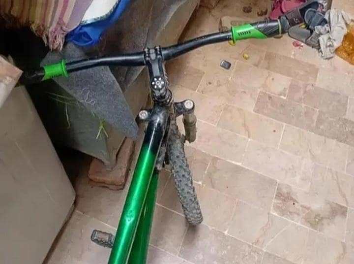 Phonex cycle 2