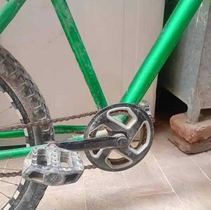 Phonex cycle 3