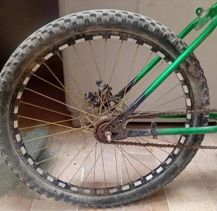 Phonex cycle 4