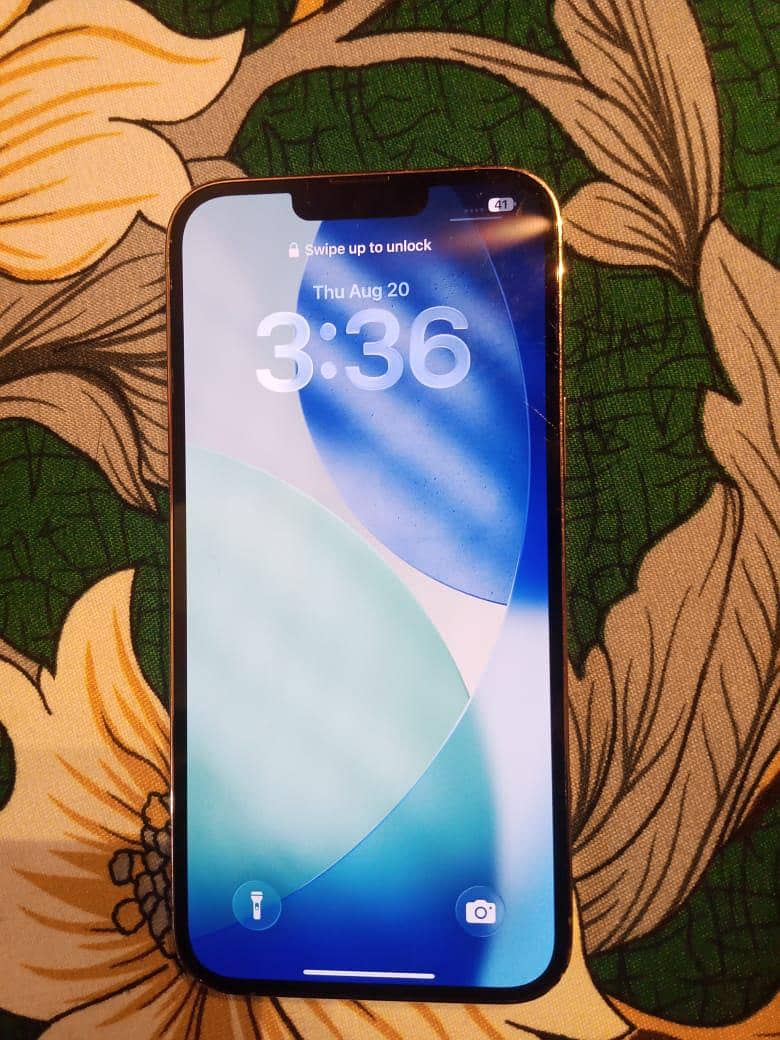 Apple iPhone 13 Pro Max 1