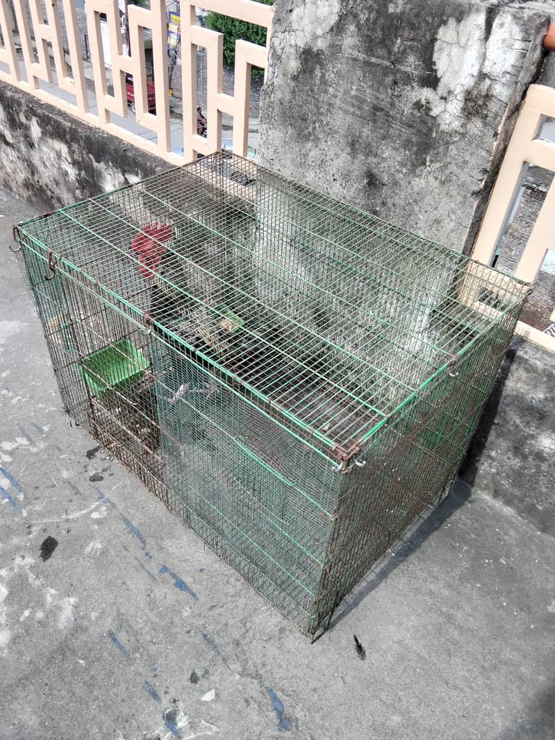 3x2 Cage 1