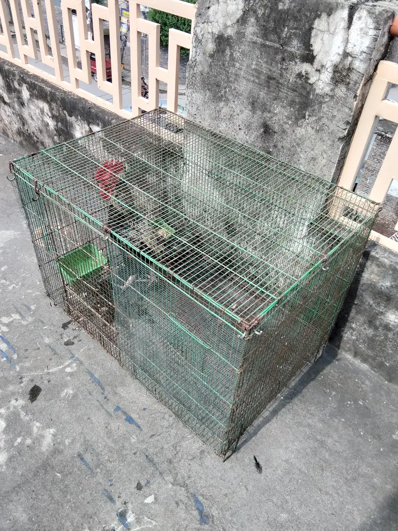 3x2 Cage — photo 2