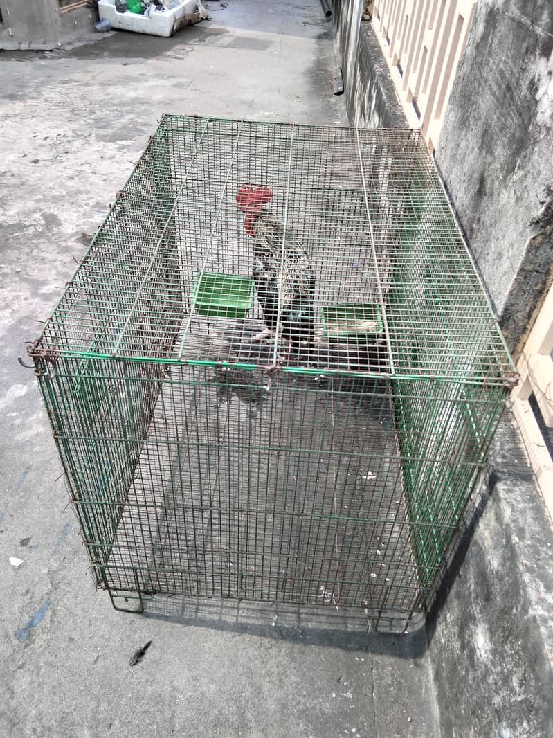3x2 Cage 2