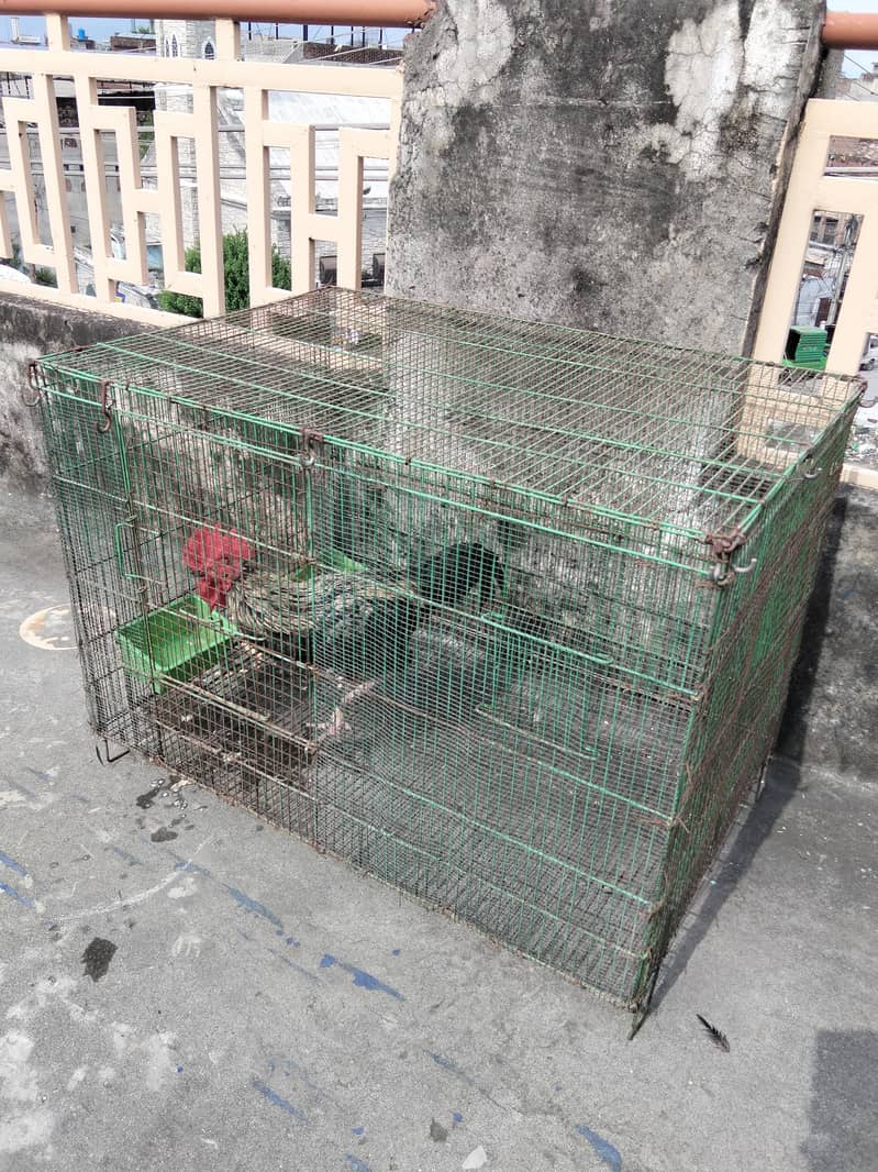 3x2 Cage 3
