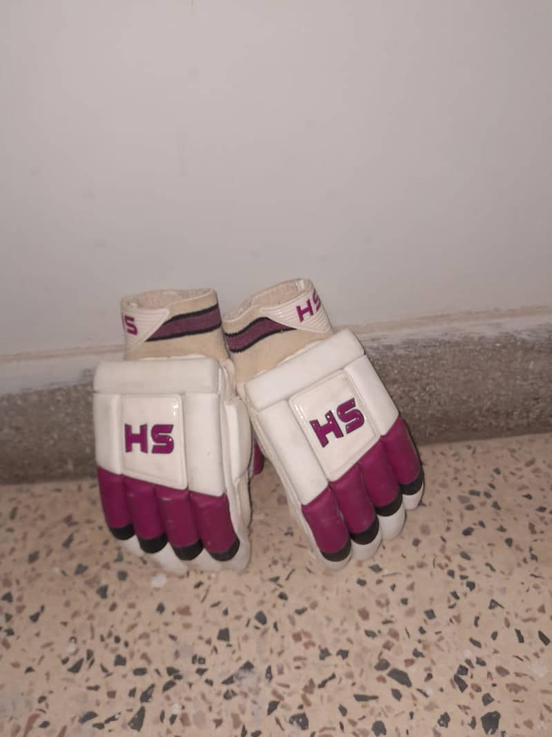 Cricket kit 1