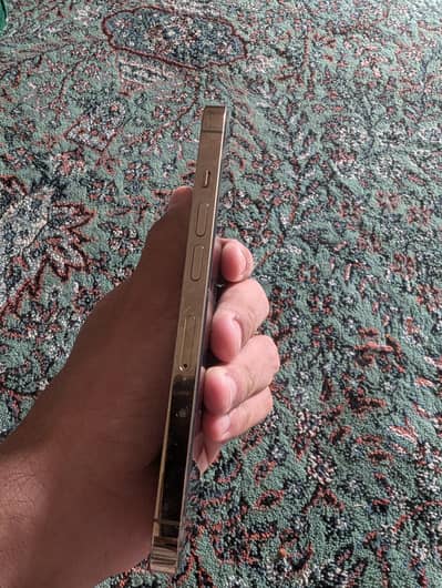 Apple iPhone 13 Pro