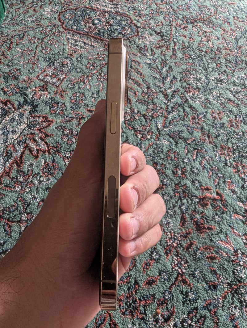 Apple iPhone 13 Pro 1