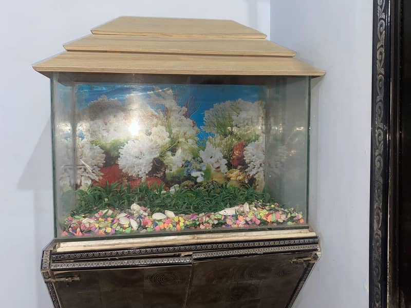 AQUARIUM 1