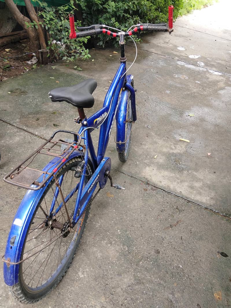 Cycle, Bicycle 1