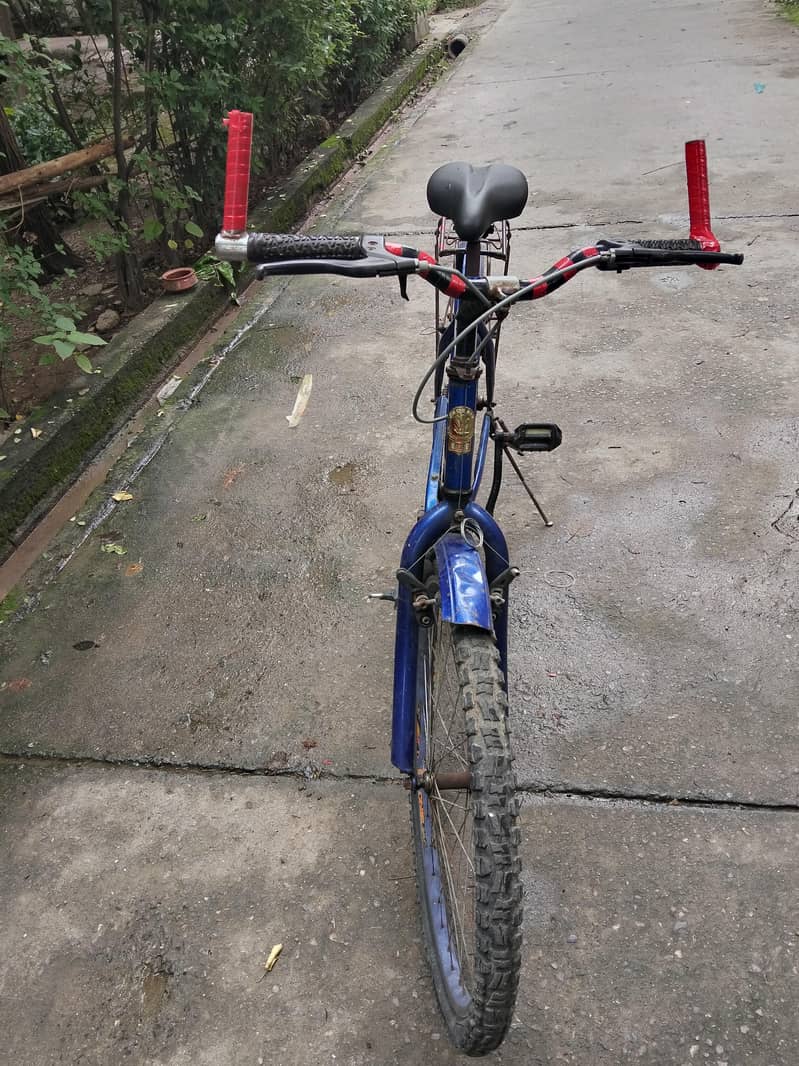 Cycle, Bicycle 2