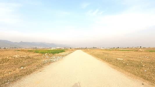 Buy A Residential Plot Of 1000 Square Feet In E-12/4