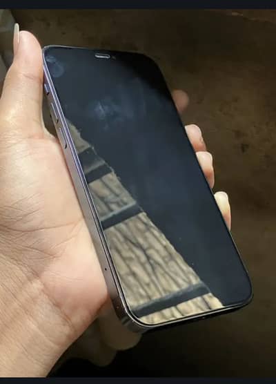 Apple iPhone 12 Pro phone number 03402843028