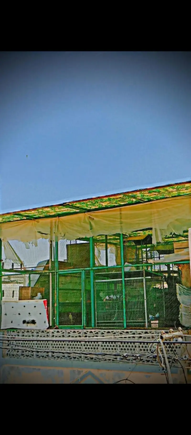 cage / iron cage /Master cage / big size master cage  20/12/12 — photo 2