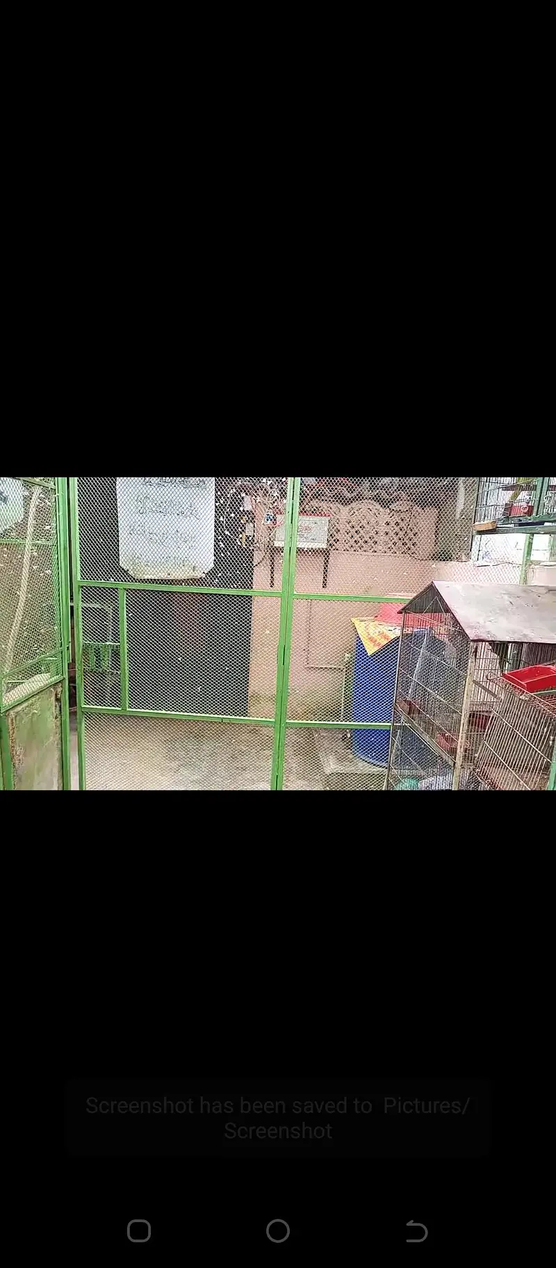 cage / iron cage /Master cage / big size master cage  20/12/12 — photo 6