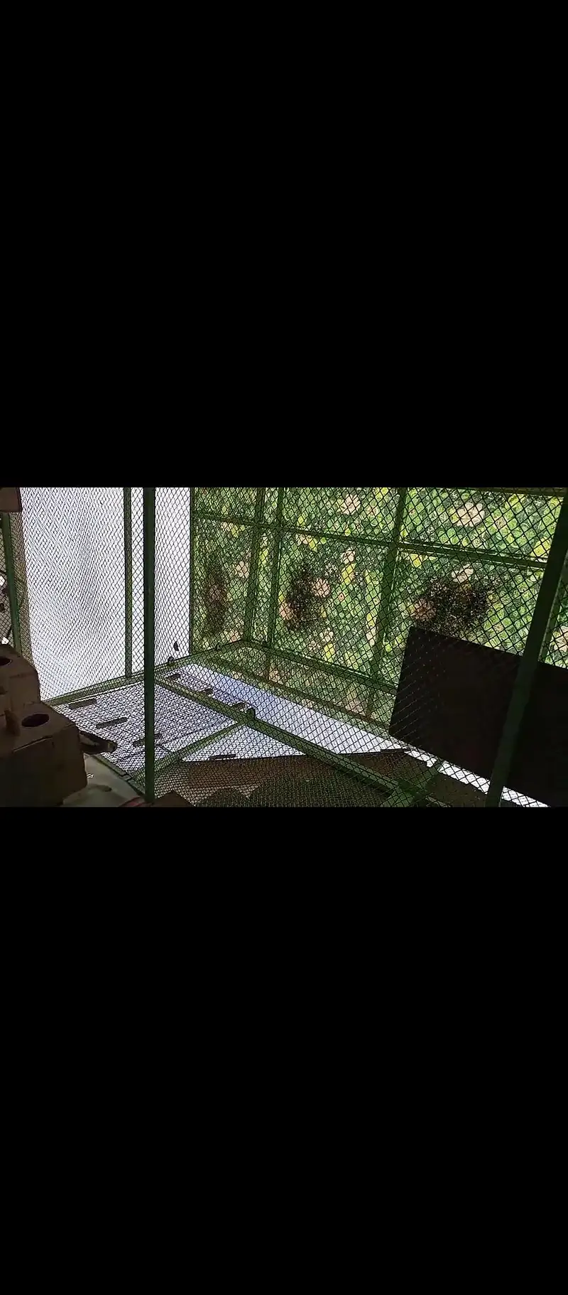 cage / iron cage /Master cage / big size master cage  20/12/12 — photo 11