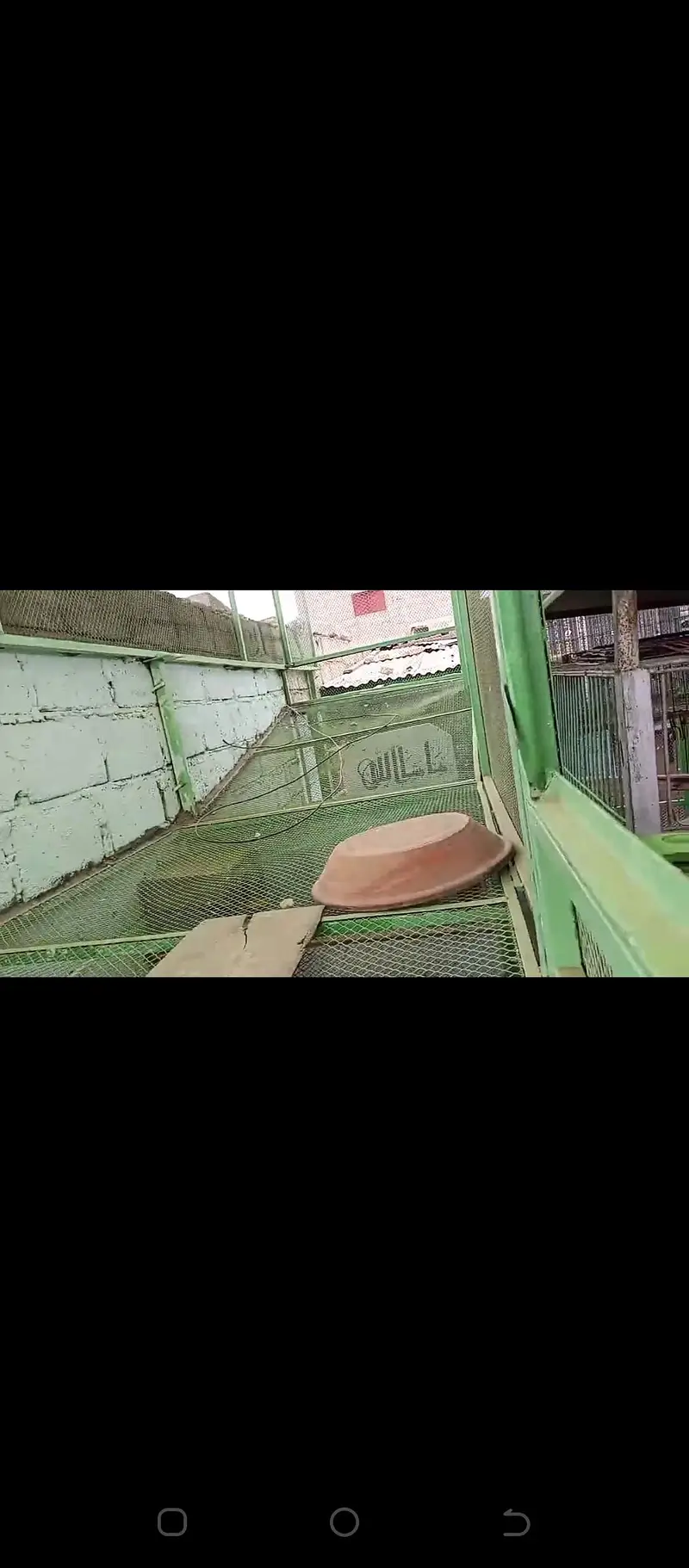 cage / iron cage /Master cage / big size master cage  20/12/12 — photo 12