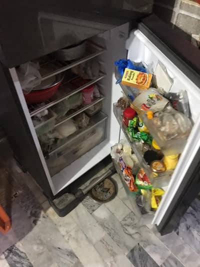 Haier 10 CFT Fridge