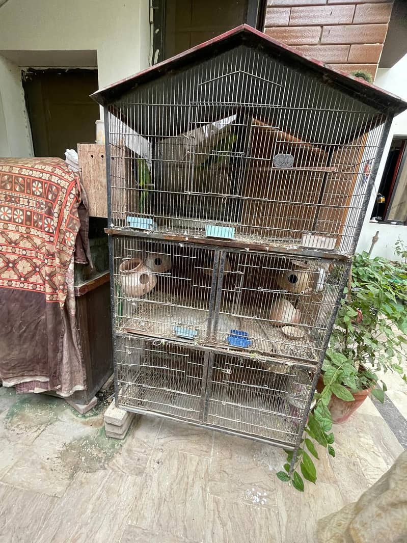 cage 5 portion 1
