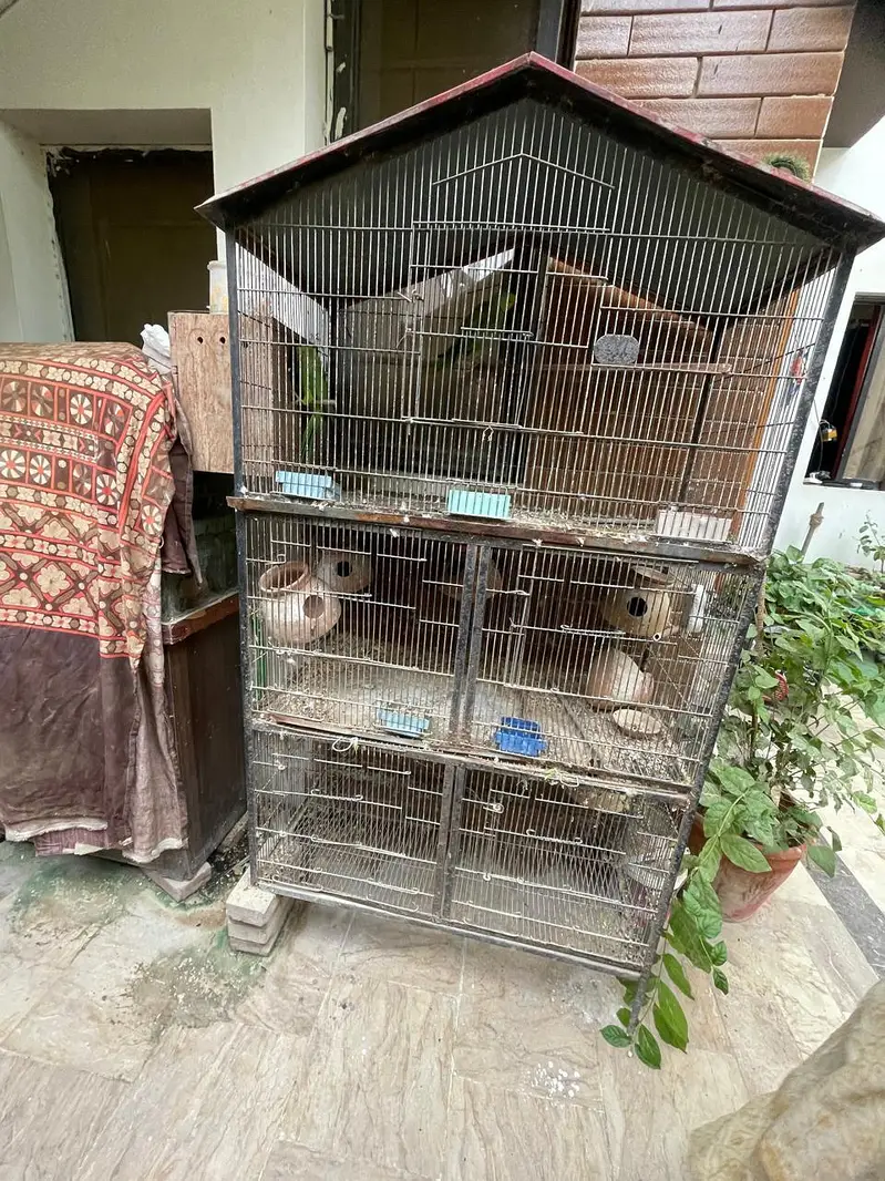 cage 5 portion — photo 2