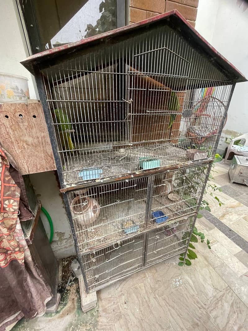 cage 5 portion 4