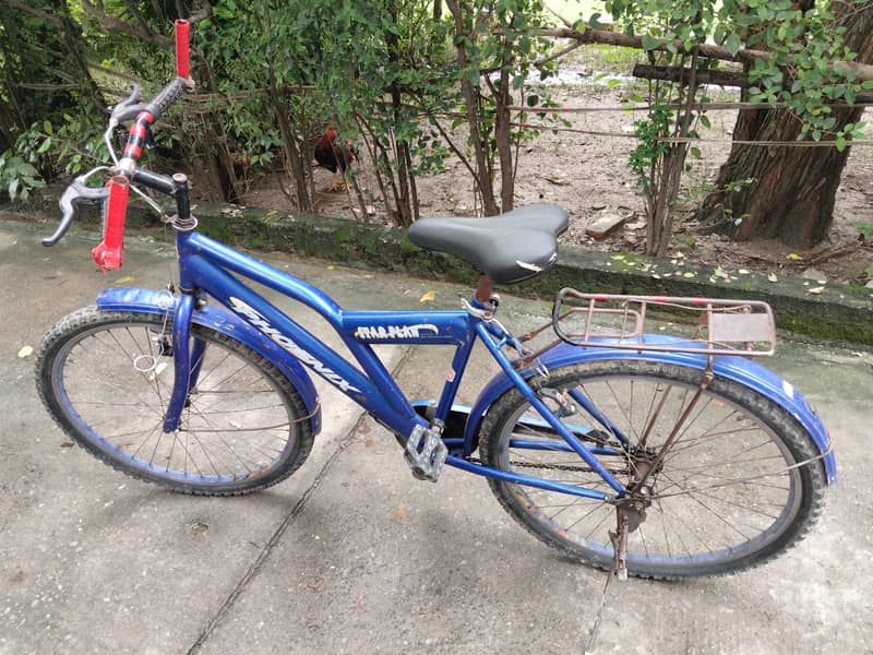 Cycle, Bicycle 3
