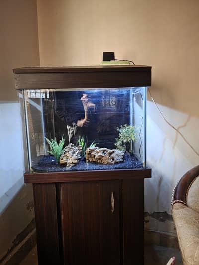 2 feet Aquarium complete (no leak) 8mm