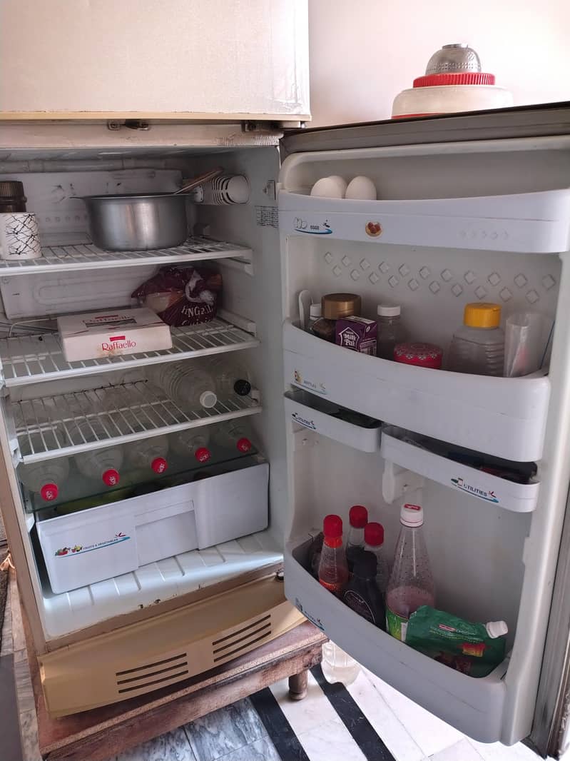 Pel Refrigerator 1
