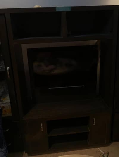 Tv divider
