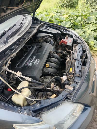 Toyota Corolla Altis 2010