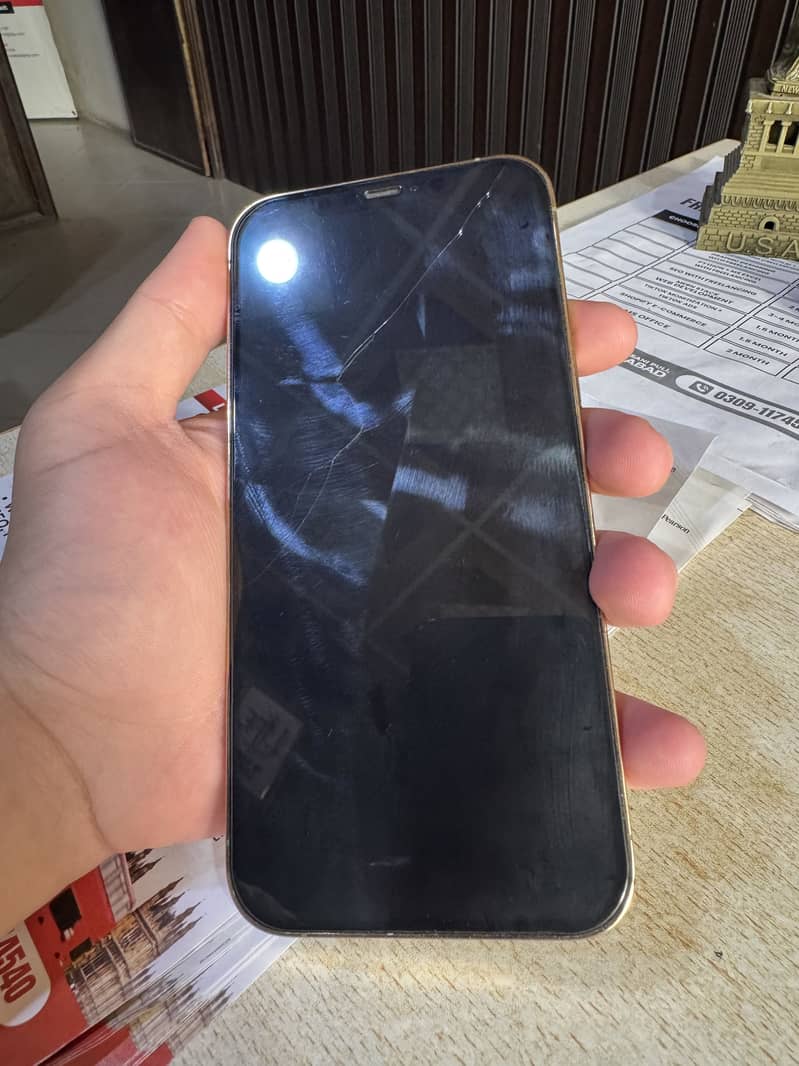 Apple iPhone 12 Pro Max 1