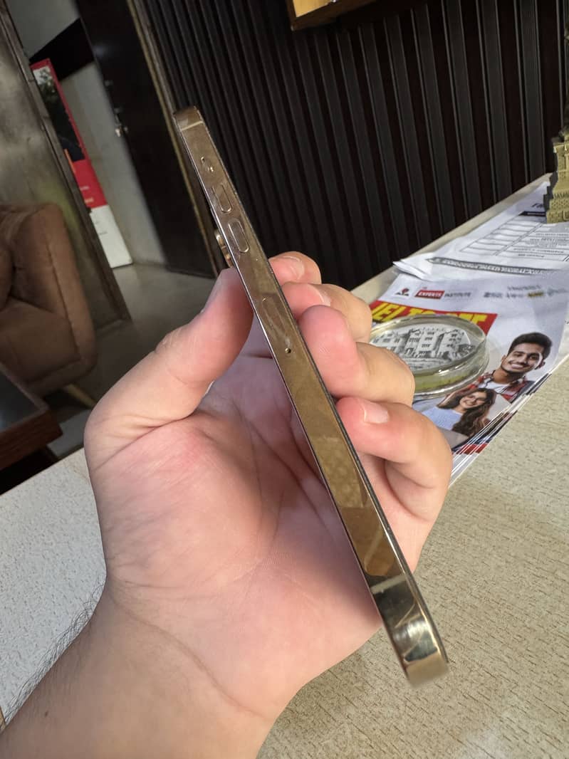 Apple iPhone 12 Pro Max 3
