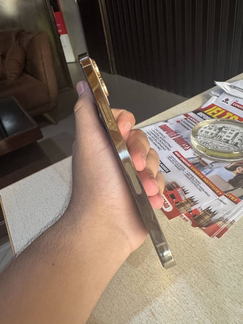 Apple iPhone 12 Pro Max 5