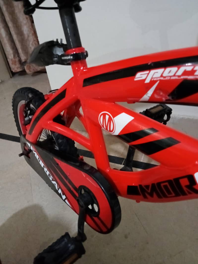 Morgan Kid cycle 2